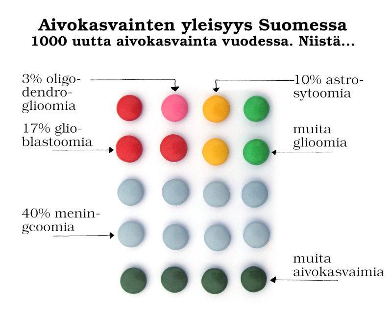 Aivokasvainten yleisyys Suomessa
1000 uutta aivokasvainta vuodessa. Niistä...
3% oligodendroglioomia 
17% glioblastoomia
10% astrosytoomia
...muita glioomia
40% meningeoomia
...muita aivokasvaimia